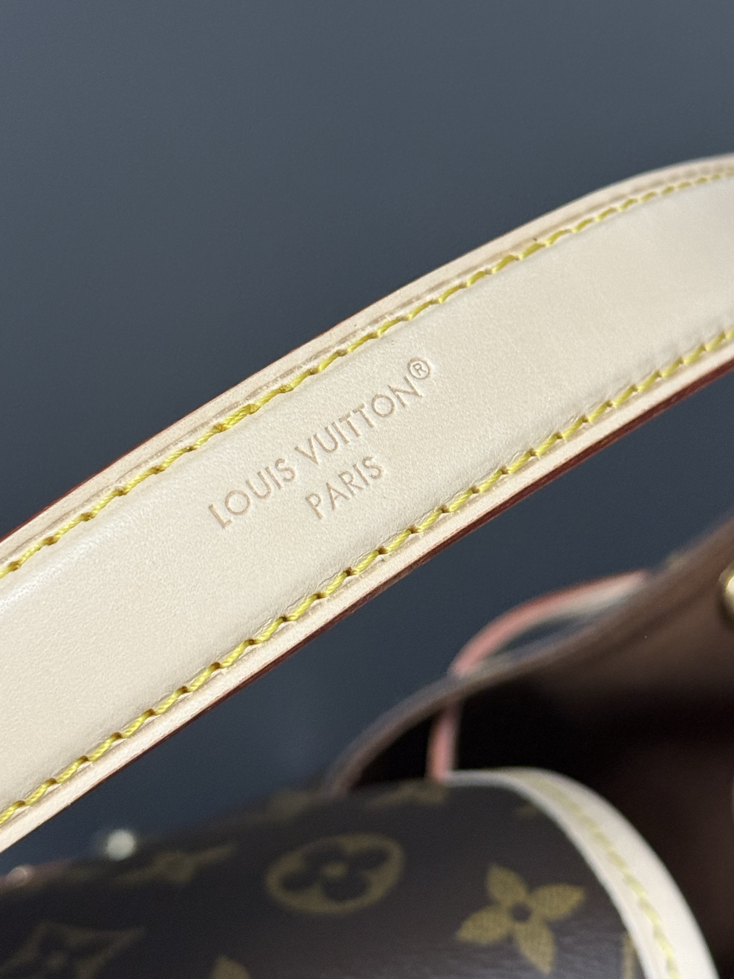 LV 一比一 Montsouris MM Monogram 水桶後背手袋 經典復刻｜歐美奢侈品精品推薦