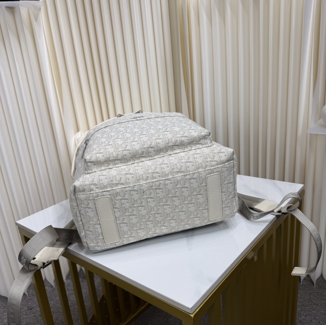 Dior高仿米色刺繡帆布男款背包 簡約拉鍊設計通勤首選| 12 Dior高仿米色刺繡帆布男款背包 簡約拉鍊設計通勤首選