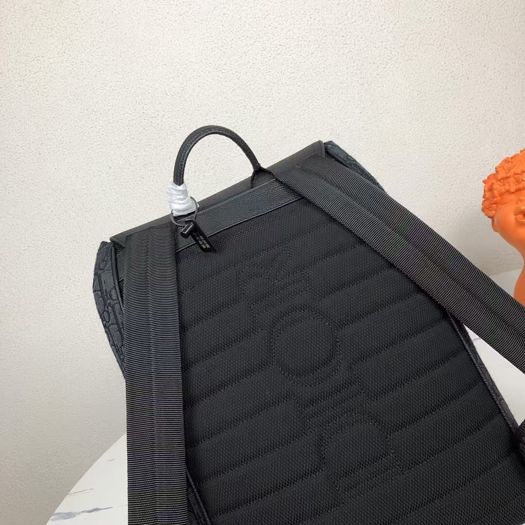 Dior 原單皮蓋老花後背包 都會感掀蓋設計款| 11 Dior 原單皮蓋老花後背包 都會感掀蓋設計款