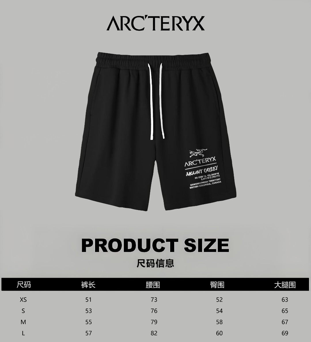 Arc'teryx 原單 男款機能短褲 字母印花運動褲 戶外休閒褲| 15 Arc'teryx 原單 男款機能短褲 字母印花運動褲 戶外休閒褲
