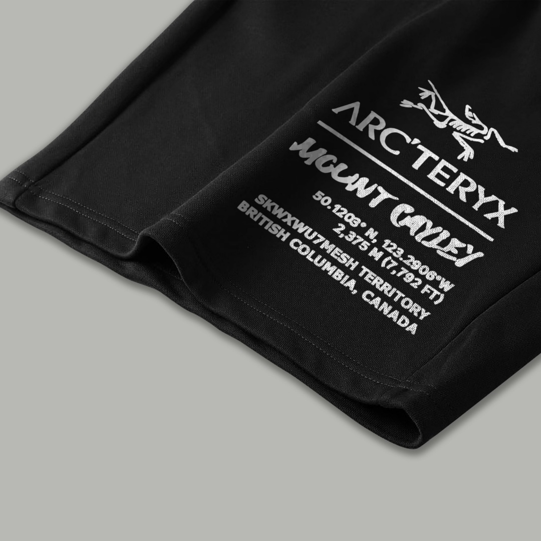 Arc'teryx 原單 男款機能短褲 字母印花運動褲 戶外休閒褲| 11 Arc'teryx 原單 男款機能短褲 字母印花運動褲 戶外休閒褲