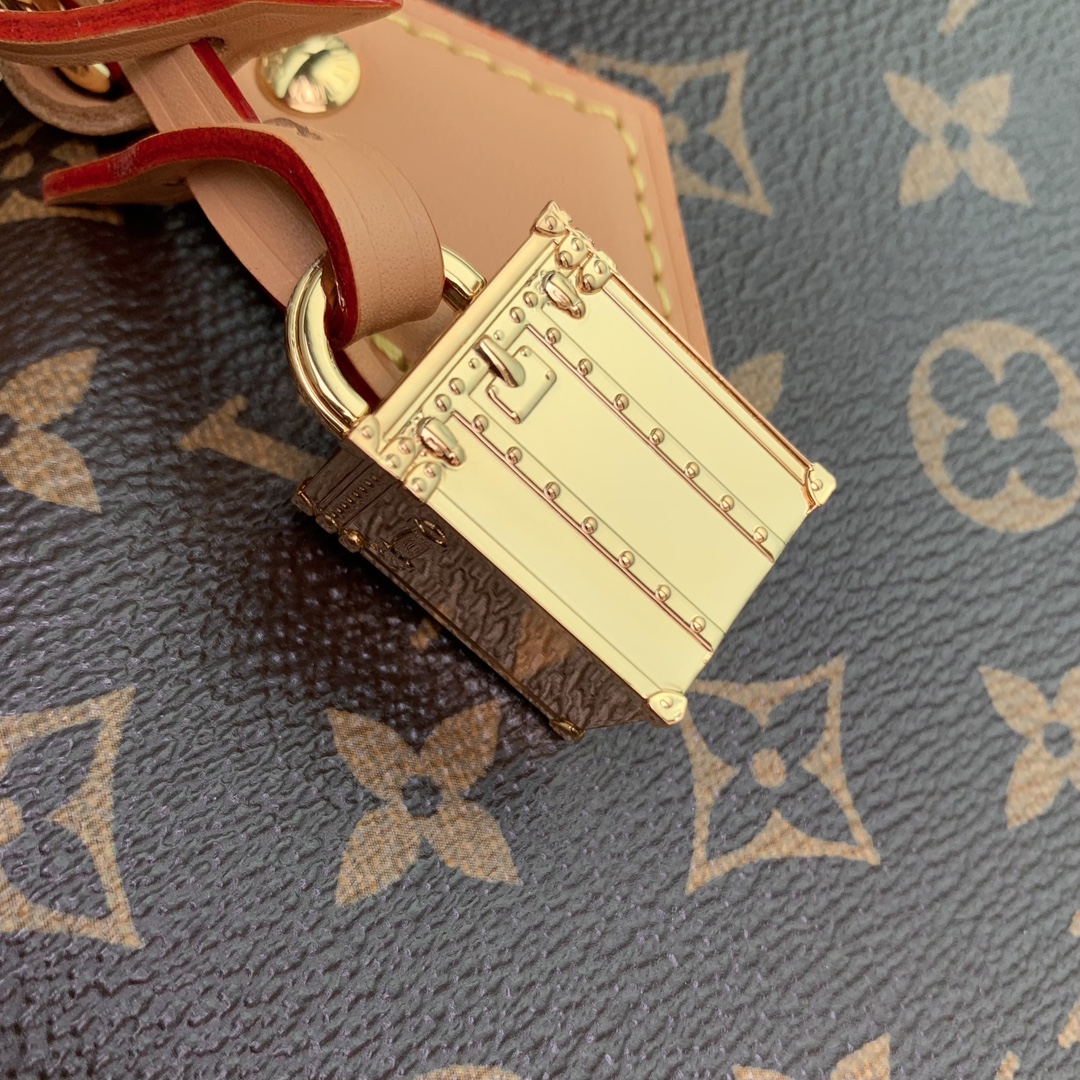 LV A貨Speedy手提斜背包經典百搭日常款| 18 LV A貨Speedy手提斜背包經典百搭日常款