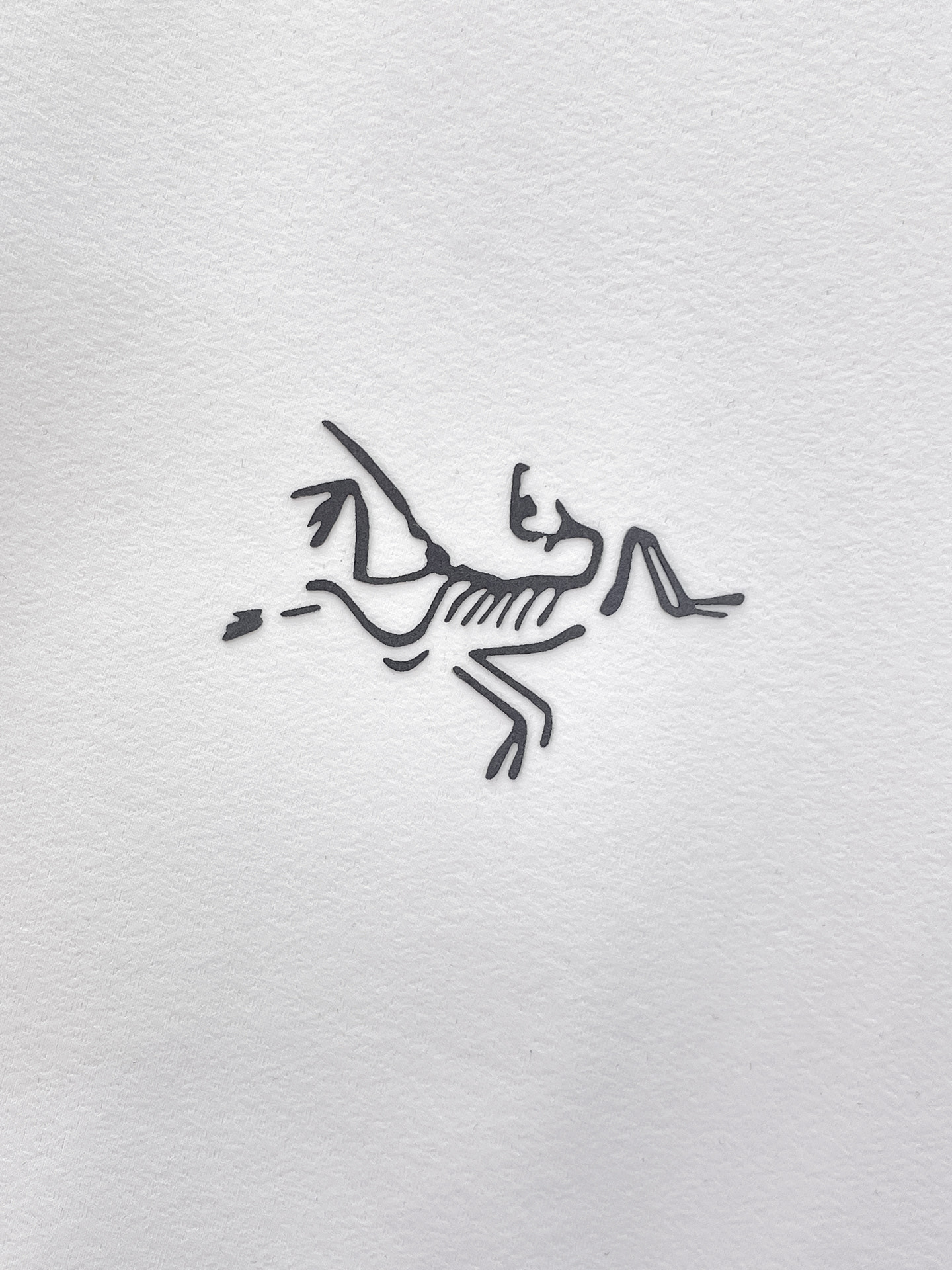 Arc'teryx 一比一男士白色短袖T恤 鳥標字母刺繡圓領休閒上衣| 7 Arc'teryx 一比一男士白色短袖T恤 鳥標字母刺繡圓領休閒上衣